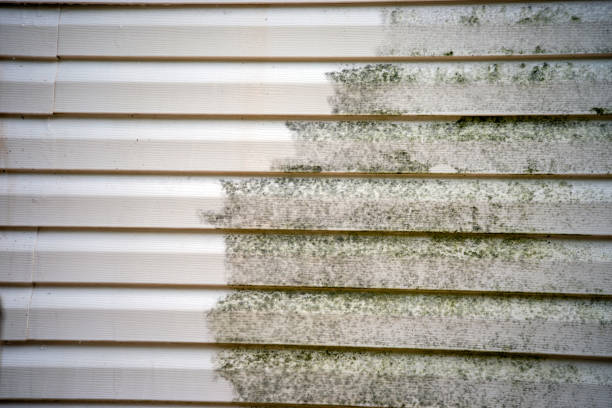 Same-Day Junk Removal Services in Homeacre Lyndora, PA